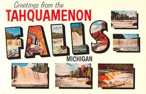 Greetings from Tahquamenon Falls Michigan MI