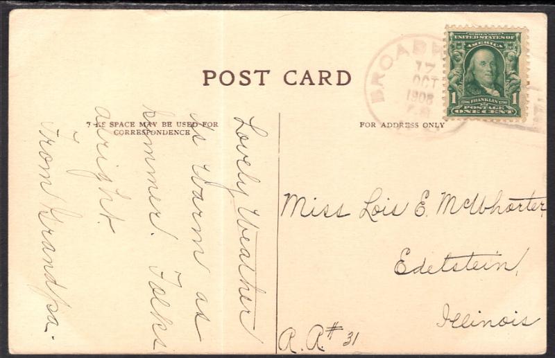 In Mischief Cats Comic BIN