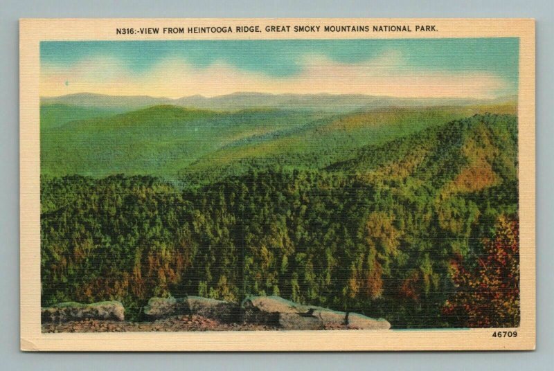View From Heintooga Ridge, Great Smoky Mountain National Park, NC Postcard 