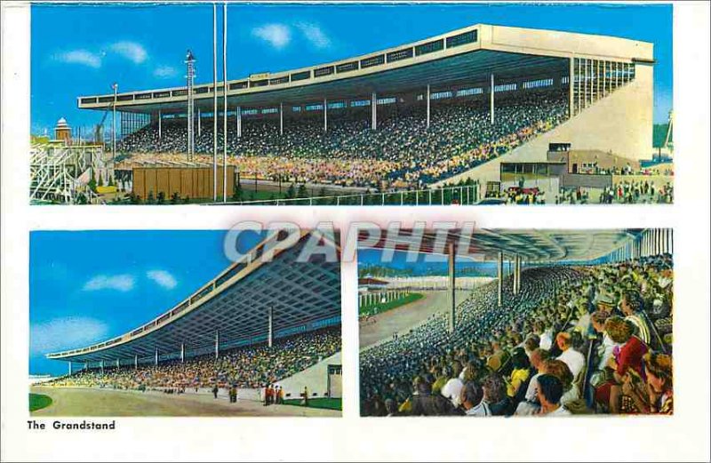 Modern Niagara Postcard The Grandstand The Pure Food Building