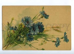 187617 Cornflower Bouquet by KLEIN Vintage Russian color PC