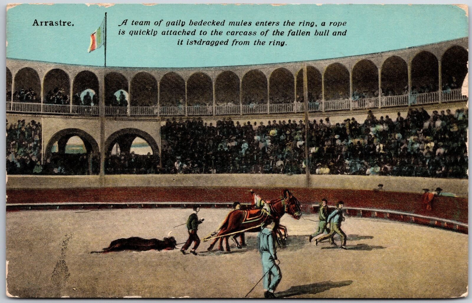 A Team Of Gaily Bedecked Mules Enters The Ring Rope Attached to Carcass ...