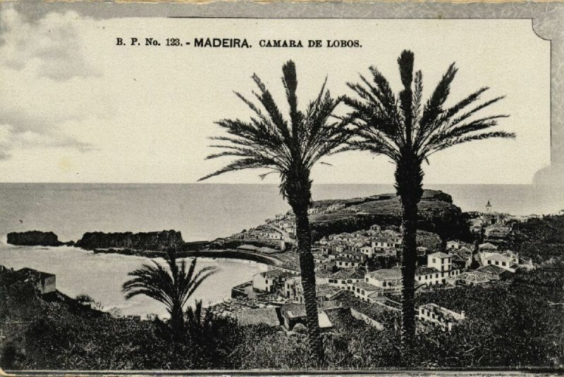 portugal, MADEIRA FUNCHAL, Camara de Lobos (1910s) B.P. 128