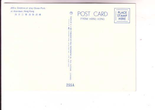 Dolphins and Trainers, Ocean Theatre, Hong Kong