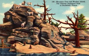 Illinois Chicago Brookfield Zoological Park Mountain Goat and Monkey Island C...