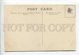 422956 Gelada Baboon MONKEY by DOLLMAN Vintage Waterlow PC