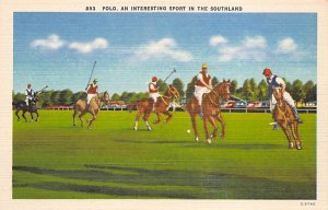 Interesting spofrt in the Southland Polo Unused 