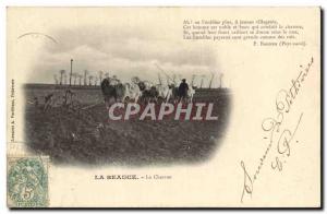 Old Postcard Folklore Peasants Beauce The Oxen plow TOP