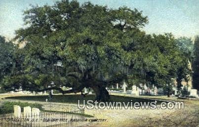 Old Oak Tree, Magnolia Cemetery - Charleston, South Carolina