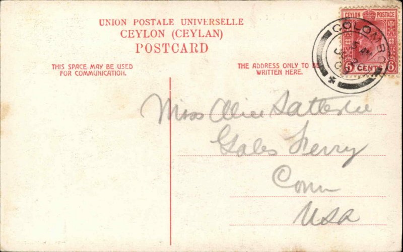 Ceylon India Ceylon Fruits c1910 Vintage Postcard