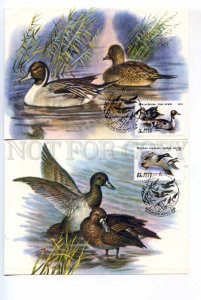 414551 USSR 1991 year set of FDC postcards maximum cards Kozlov duck hunting