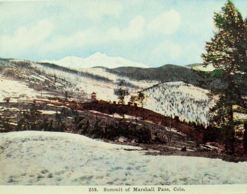 Circa 1910 Summit Of Marshall Pass, CO Logging Snow Sheds Vintage Postcard P40