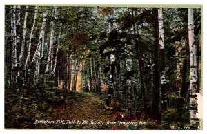 Postcard NATURE SCENE Bethlehem New Hampshire NH AQ7540