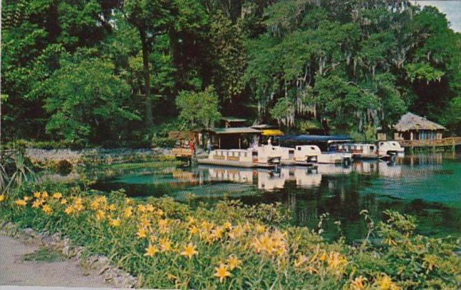 Florida Dunnellon Boat Docks At Rainbow Springs