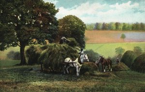 Vintage Postcard 1910's Beautiful Scene Countryside Green Field Horses Farm Art