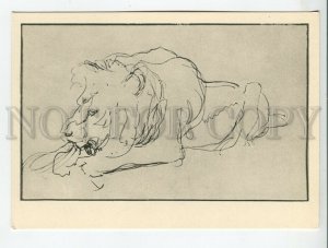 454653 USSR 1963 year Valentin Serov lion postcard