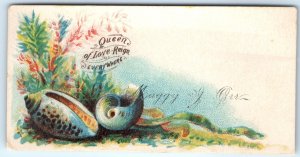 c1880s Maggy Orr Calling Trade Card Queen of Love, Sea Shell Litho Visiting C1