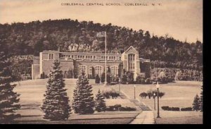 New York Cobleskill Cobleskill Central School  Artvue