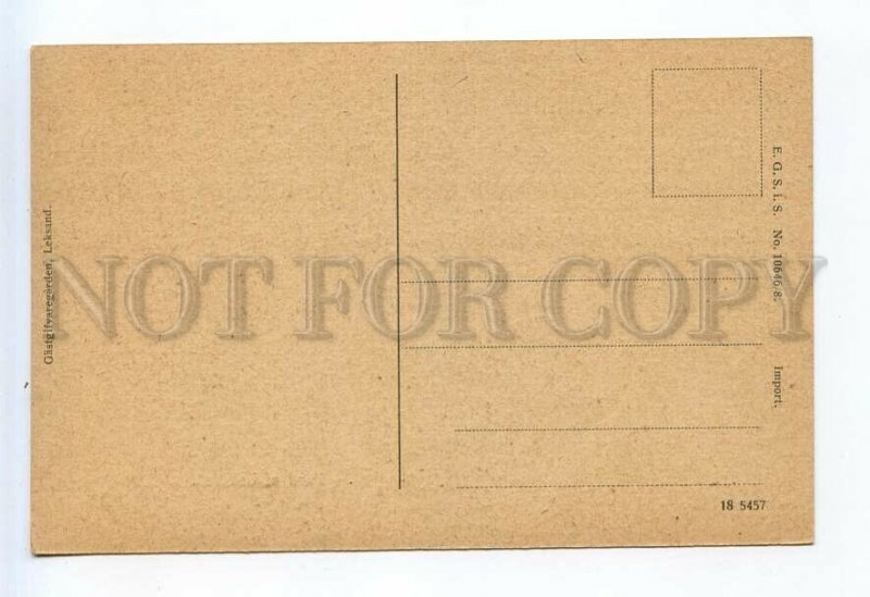 520982 SWEDEN Leksand skier Vintage photo postcard