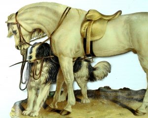 Large Lovely White Horse With Dog Saddle Die Cut Victorian 6 X 9 1/4 &T