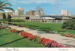 Skyline Of Tampa Florida