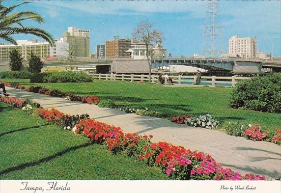 Skyline Of Tampa Florida