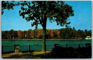 Vtg Birmingham Alabama AL East Lake Park 1960s View Postcard