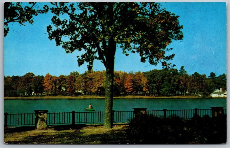 Vtg Birmingham Alabama AL East Lake Park 1960s View Postcard