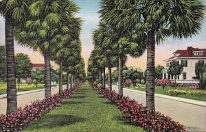 Victory Drive Savannah Georgia