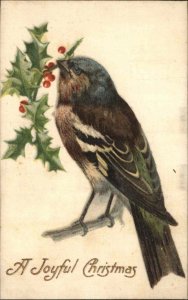 Christmas Bird Holly Silk Winsch c1900s-20s Postcard