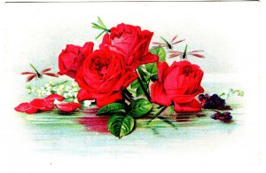 Beautiful Red Roses Floating in Water, Embossed, Used 1917, Greeting Postcard