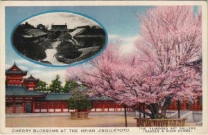 Pc kyoto cherry blossoming jeian jingu japan (a22087) 