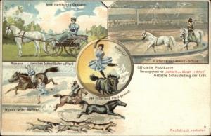 German Barnum & Bailey Circus Multi-View c1900 Postcard #3 gfz