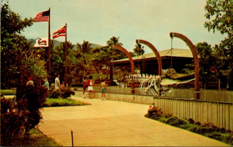 Hawaii Maui Kaanapali Beach World Of Whales Whalers Village