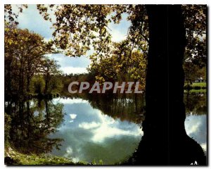 Postcard Modern Face Landes When comes the Autumn on our ponds