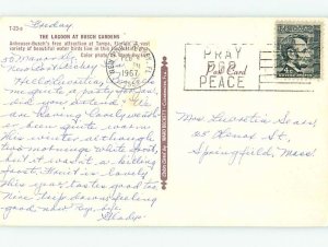 Pre-1980 BUSCH GARDENS Tampa Florida FL AF9731