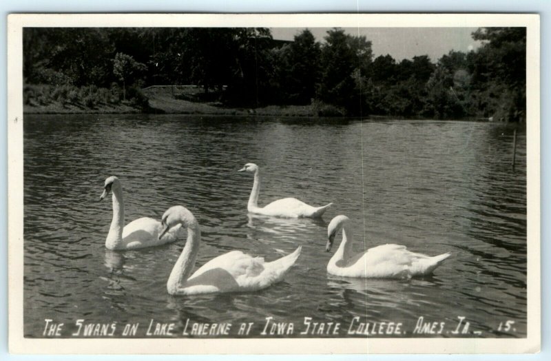 x2 LOT c1950s Ames, IA Iowa State College University RPPC Swans Evening Bell A11