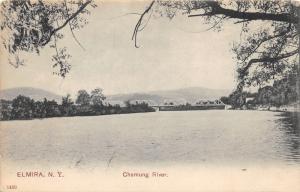 Elmira New York~Chemung River View~Bridge in Distance~c1905 B&W PCK Pc