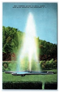 ROYAL GORGE, NC North Carolina ~ ANDREWS GEYSER c1940s Roadside Linen  Postcard