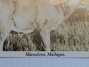 Vintage Postcard White Tail Buck Mancelona Michigan 1943 RPPC