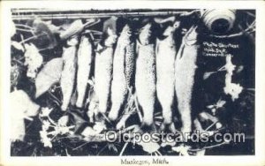 Muskegon, Michigan, USA Fishing Printed Photo Unused 