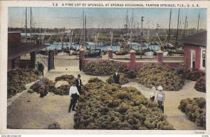 TARPON SPRINGS, Florida, PU-1938; Sponges at Sponge Exchange