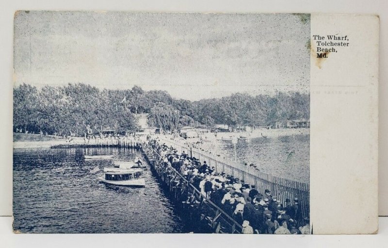 Tolchester Beach Maryland, The Wharf w/ Crowds of People Photo View Postcard C1