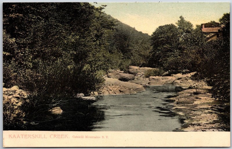 Kaatsterskill Creek Catskill Mountains New York NY Trees Attraction Postcard
