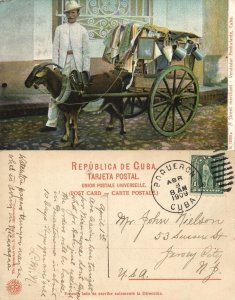 cuba, HAVANA, Street Merchant with Goat Cart, Vendedor Ambulante (1909) Postcard