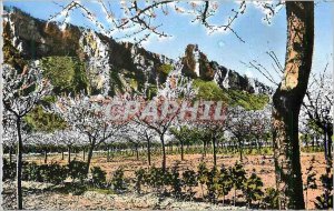 Modern Postcard The Rhone Valley Spring landscape has Crussol