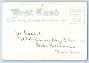 Animal Postcard Japanese Spaniel Shoe Pink Roses Flowers 1906 Posted Antique