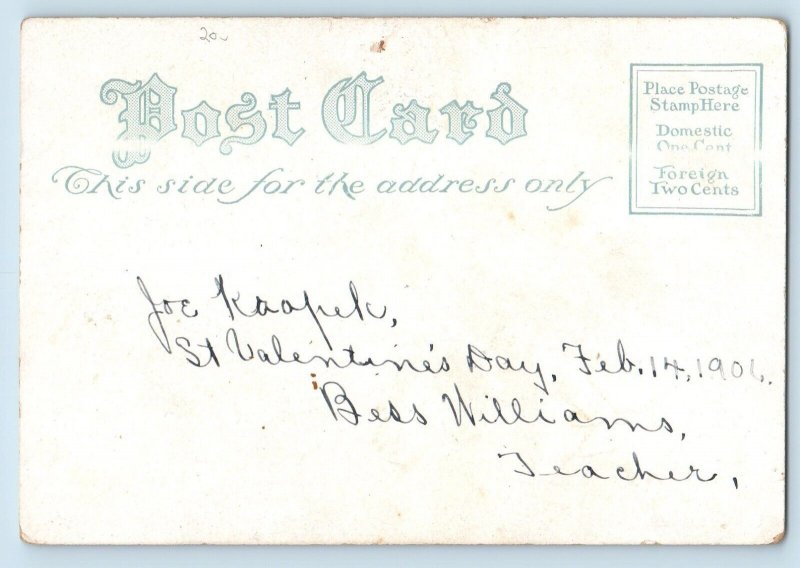 Animal Postcard Japanese Spaniel Shoe Pink Roses Flowers 1906 Posted Antique