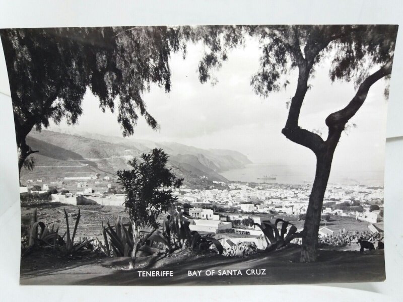 Hillside View of The Bay of Santa Cruz Tenerife Spain Vtg B&W RP Postcard 1950s