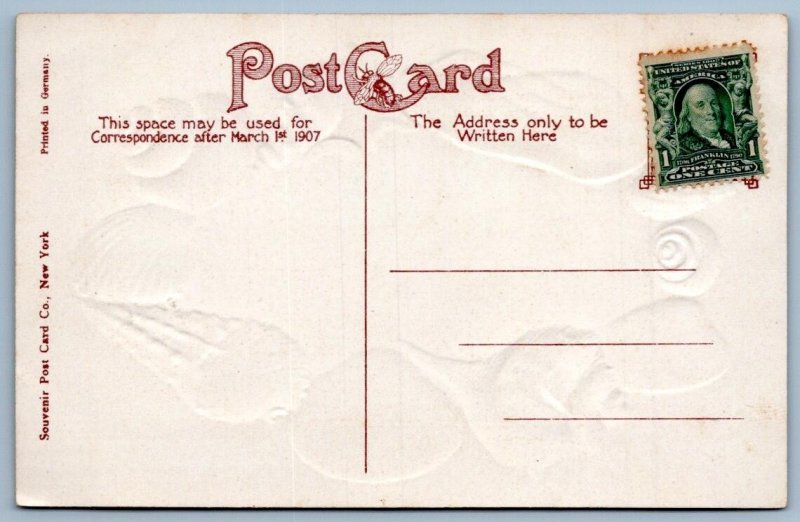 1907-10's STEEPLECHASE & STEEL PIERS ATLANTIC CITY NJ SEASHELL BORDER POSTCARD